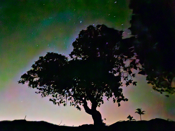 Send your best photos from Maui County to mauiphotos@mauinews.com for a chance to see them featured on our website and in our weekly print edition.